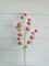 Elegant Blooms: 28-Inch Pink Snowball Allium Spray - Graceful Floral Accent for Your Décor-85550PK